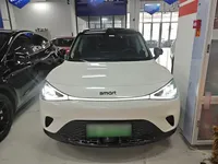 smart #1 2024 (9800 км)