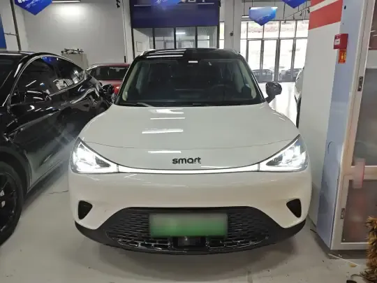 smart #1 2024 (9800 км)