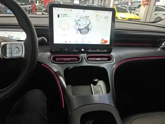 smart #1 2024 (9800 км)
