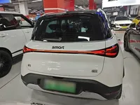 smart #1 2024 (9800 км)