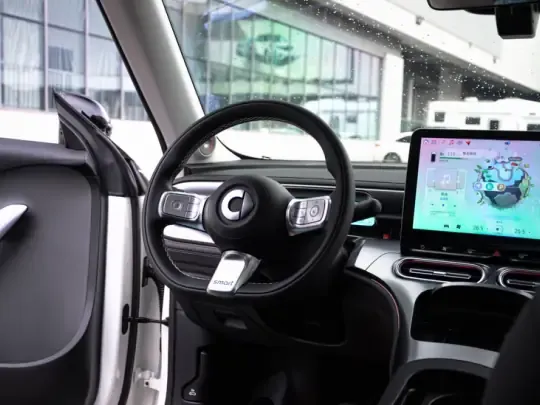 smart #1 2024 (9800 км)