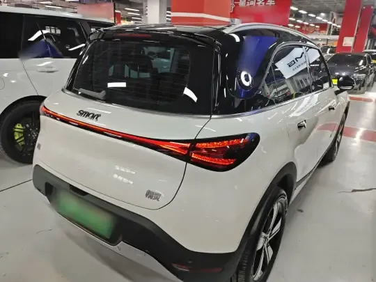 smart #1 2024 (9800 км)