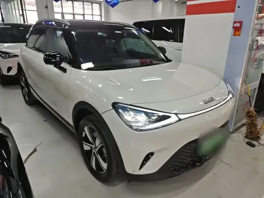 smart #1 2024 (9800 км)