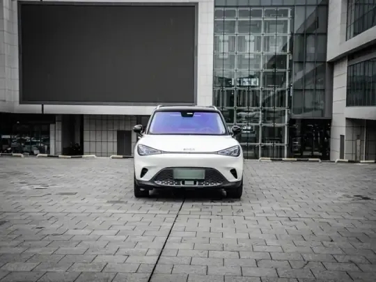 smart #1 2024 (9800 км)