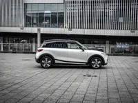 smart #1 2024 (9800 км)