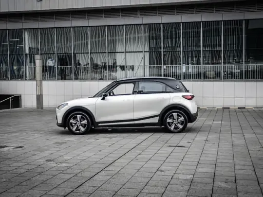 smart #1 2024 (9800 км)