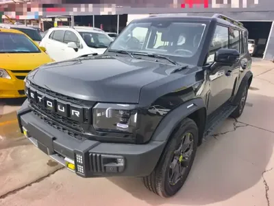 JETOUR Shanhai Traveler C-DM 2024 (100 км)