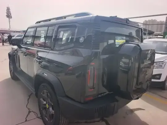 JETOUR Shanhai Traveler C-DM 2024 (100 км)