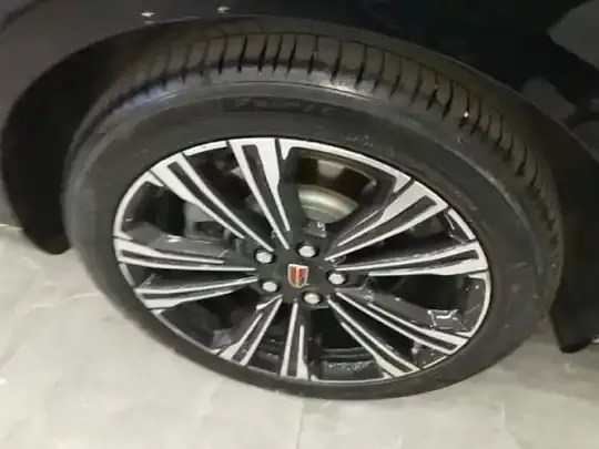 Hongqi H9 2024 (23000 км)