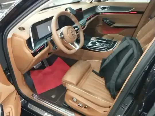 Hongqi H9 2024 (23000 км)