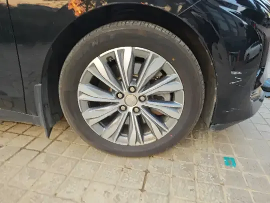 Hongqi E-QM5 2024 (59600 км)