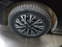 Hongqi HQ9 PHEV 2024 (7400 км)