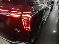 Hongqi HQ9 PHEV 2024 (7400 км)