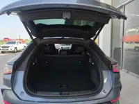 BYD Sealion 07 EV 2024 (13500 км)