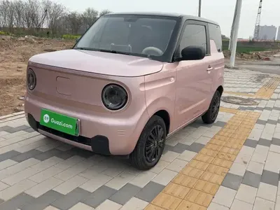 Geely Galaxy Panda 2024 (10700 км)