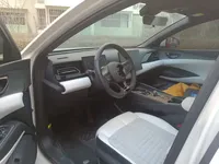 BYD Seal 06 New Energy 2024 (1700 км)