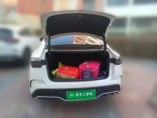 BYD Seal 06 New Energy 2024 (1700 км)