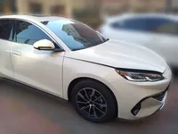 BYD Seal 06 New Energy 2024 (1700 км)