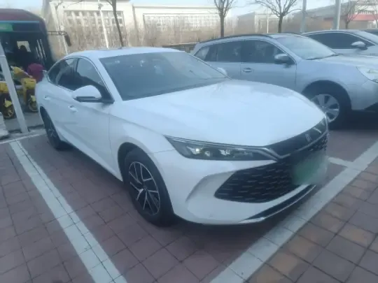 BYD Qin L 2024 (18900 км)