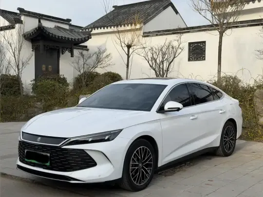 BYD Qin L 2024 (13700 км)