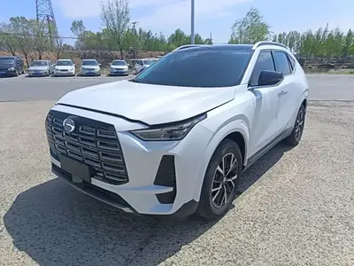 GAC Trumpchi GS4 2024 (8800 км)