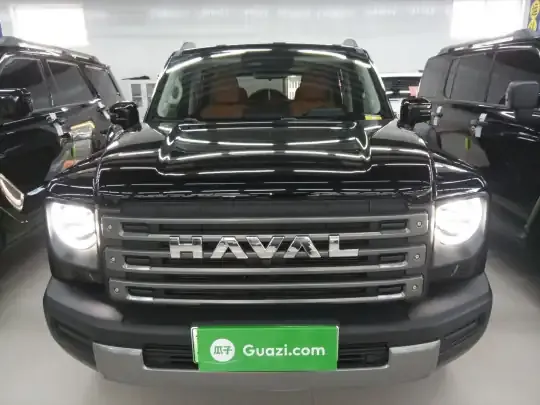 Haval Raptor New Energy 2024 (8200 км)