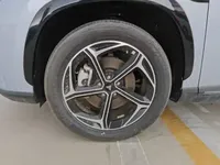 NETA L 2024 (100 км)