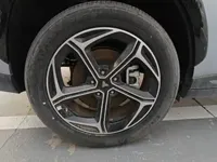NETA L 2024 (100 км)
