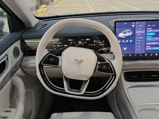 NETA L 2024 (100 км)