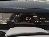 NETA L 2024 (100 км)