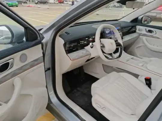 NETA L 2024 (100 км)