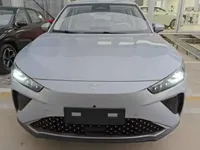 NETA L 2024 (100 км)