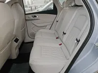 NETA L 2024 (100 км)
