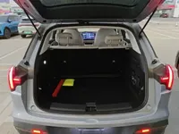 NETA L 2024 (100 км)
