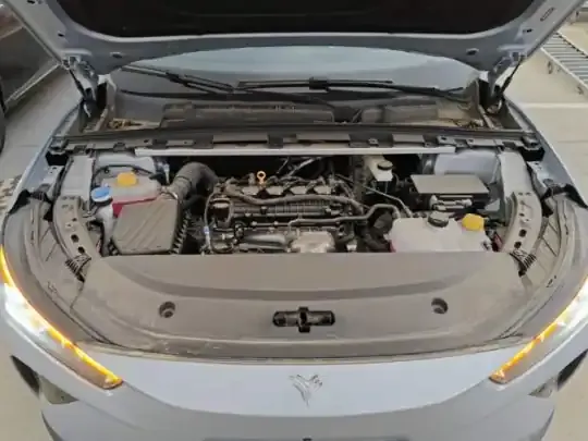 NETA L 2024 (100 км)