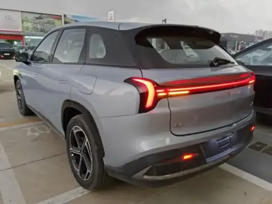 NETA L 2024 (100 км)