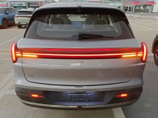 NETA L 2024 (100 км)
