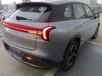 NETA L 2024 (100 км)