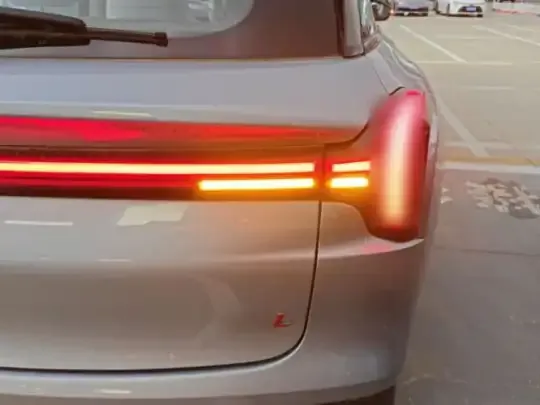 NETA L 2024 (100 км)