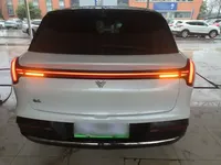 NETA L 2024 (24400 км)