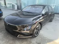 Wuling Xingguang 2024 (100 км)