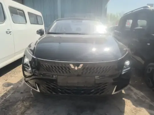 Wuling Xingguang 2024 (100 км)