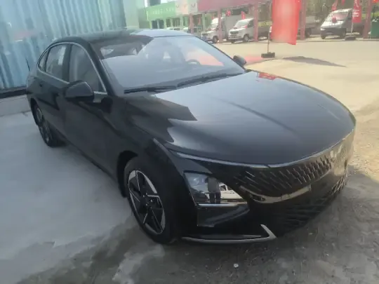 Wuling Xingguang 2024 (100 км)