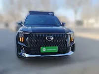 GAC Trumpchi ES9 2024 (8100 км)