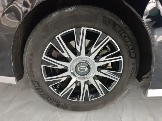 GAC Trumpchi E9 2024 (37300 км)