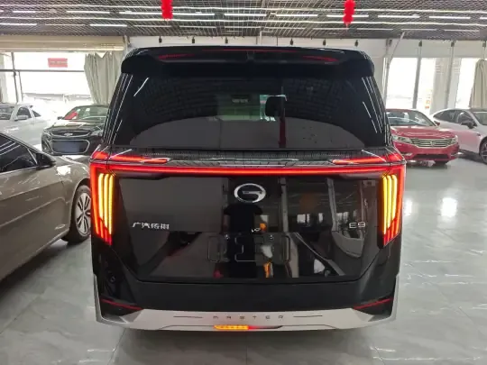 GAC Trumpchi E9 2024 (37300 км)