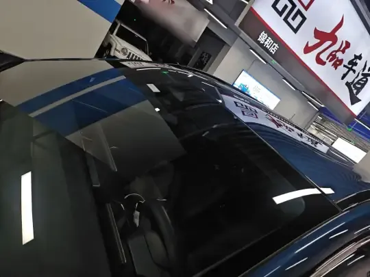 Dongfeng e? e?008 2024 (62300 км)