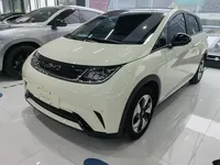 BYD Dolphin 2025 (13000 км)