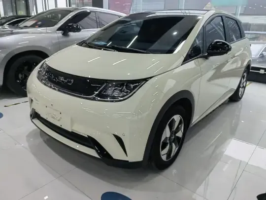 BYD Dolphin 2025 (13000 км)