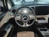 BYD Dolphin 2025 (13000 км)